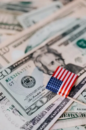 Cash dollar with little American flag on it